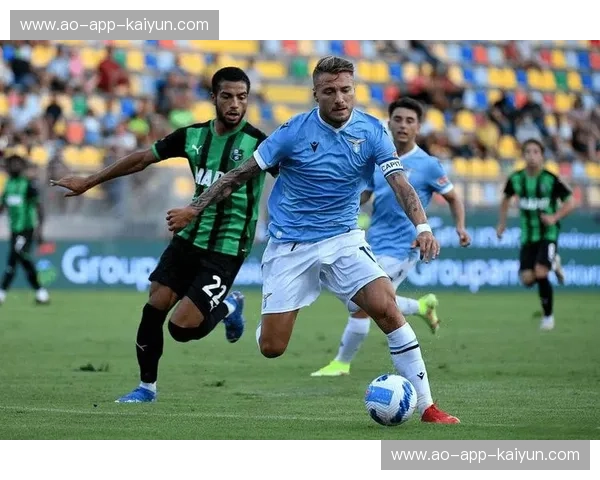 绿野仙踪与荣耀之战：探秘瑞典足坛的“埃尔夫vs哈马比”恩怨情仇